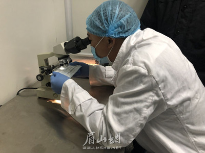 我市兩家醫療用品生產企業開足馬力保供應，承諾口罩等防護產品不漲價
