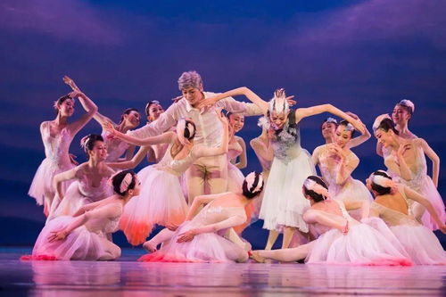 大年初一重磅開票 | 舞劇《朱鹮》杭州站唯美鉅獻，一場東方美學(xué)的詩意巡禮